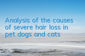 Analysis of the causes of severe hair loss in pet dogs and cats