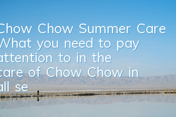 Chow Chow Summer Care What you need to pay attention to in the care of Chow Chow in all seasons