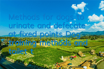 Methods for dogs to urinate and defecate at fixed points Dog training methods and toilet training