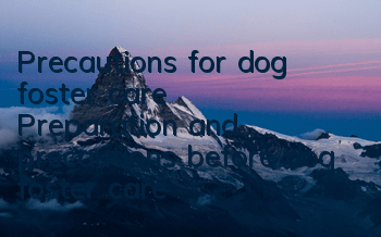 Precautions for dog foster care Preparation and precautions before dog foster care