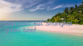 Can cats eat Shanghai green beef?