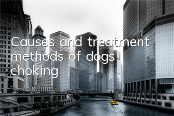 Causes and treatment methods of dogs choking