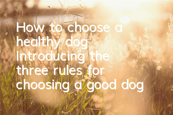 How to choose a healthy dog ​​Introducing the three rules for choosing a good dog