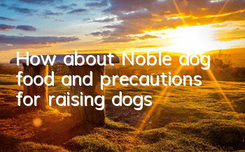 How about Noble dog food and precautions for raising dogs?