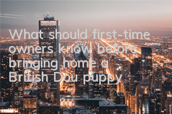 What should first-time owners know before bringing home a British Dou puppy?