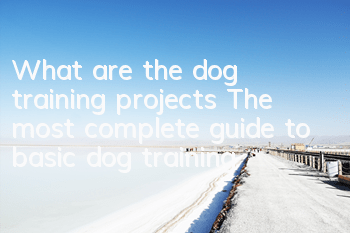 What are the dog training projects? The most complete guide to basic dog training