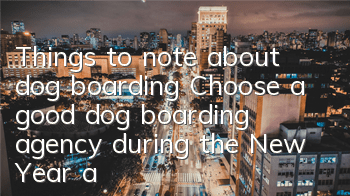 Things to note about dog boarding: Choose a good dog boarding agency during the New Year and the holidays