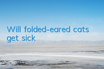 Will folded-eared cats get sick?