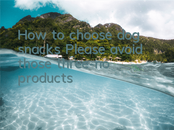How to choose dog snacks? Please avoid those three-no products