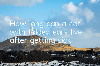 How long can a cat with folded ears live after getting sick?