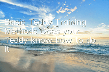 Basic Teddy Training Methods: Does your Teddy know how to do it?