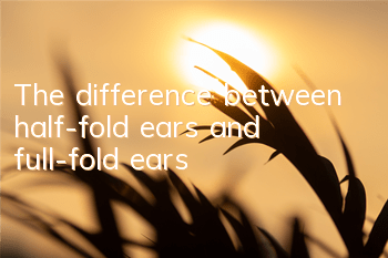 The difference between half-fold ears and full-fold ears