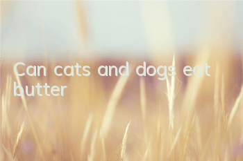 Can cats and dogs eat butter?