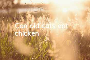 Can old cats eat chicken?