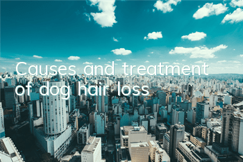 TCauses and treatment of dog hair loss