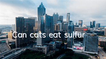 Can cats eat sulfur?