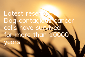 Latest research: Dog-contagious cancer cells have survived for more than 10,000 years
