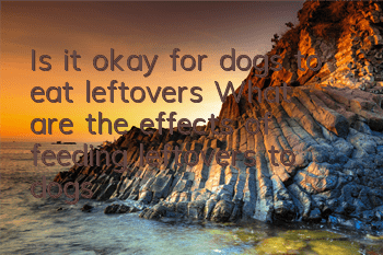 Is it okay for dogs to eat leftovers? What are the effects of feeding leftovers to dogs?