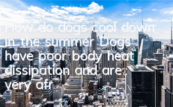 How do dogs cool down in the summer? Dogs have poor body heat dissipation and are very afraid of heat. How to cool down in the summer