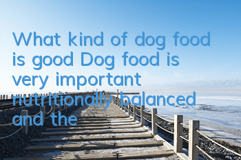 What kind of dog food is good? Dog food is very important, nutritionally balanced and the healthiest