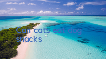 Can cats eat dog snacks?