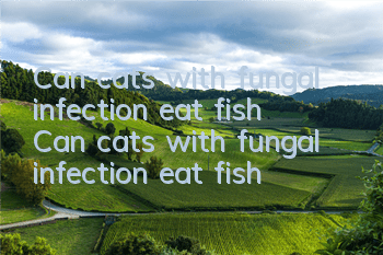Can cats with fungal infection eat fish? Can cats with fungal infection eat fish?