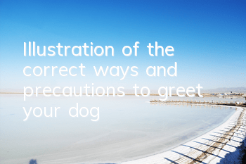 Illustration of the correct ways and precautions to greet your dog