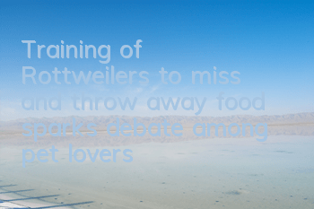 Training of Rottweilers to miss and throw away food sparks debate among pet lovers