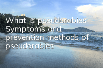 What is pseudorabies? Symptoms and prevention methods of pseudorabies