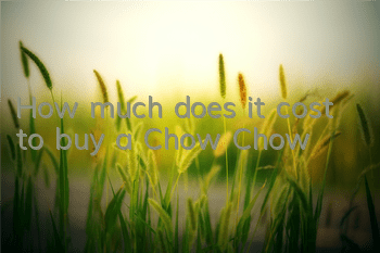 How much does it cost to buy a Chow Chow?