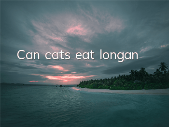 Can cats eat longan?