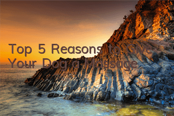 Top 5 Reasons to Give Your Dog a Massage