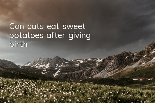 Can cats eat sweet potatoes after giving birth?