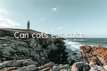 Can cats eat cake?