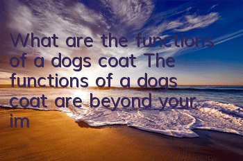 What are the functions of a dog’s coat? The functions of a dog’s coat are beyond your imagination