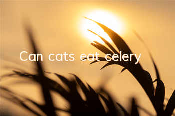 Can cats eat celery?