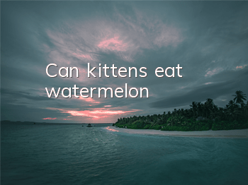 Can kittens eat watermelon?