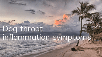 TDog throat inflammation symptoms