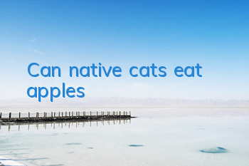 Can native cats eat apples?