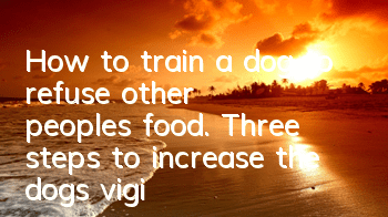 How to train a dog to refuse other people’s food. Three steps to increase the dog’s vigilance.