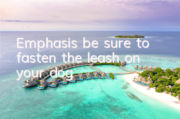 Emphasis, be sure to fasten the leash on your dog!
