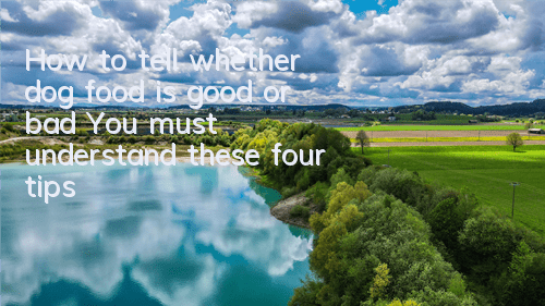 How to tell whether dog food is good or bad? You must understand these four tips