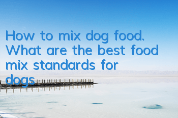 How to mix dog food. What are the best food mix standards for dogs?