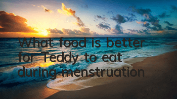 TWhat food is better for Teddy to eat during menstruation?