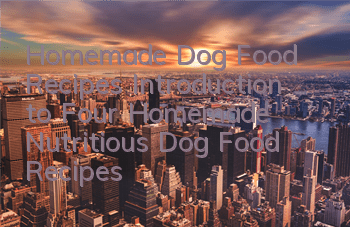Homemade Dog Food Recipes Introduction to Four Homemade Nutritious Dog Food Recipes