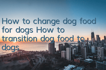 How to change dog food for dogs? How to transition dog food to dogs
