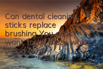 Can dental cleaning sticks replace brushing? You don’t want to be dizzy when a dog licks your face?