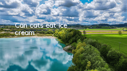 Can cats eat ice cream?