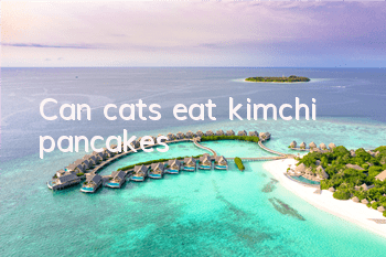 Can cats eat kimchi pancakes?