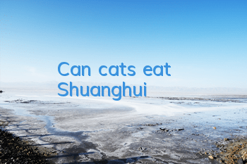 Can cats eat Shuanghui?